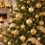 15.webp
