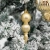 h.webp