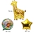 5.webp