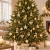18.webp