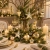 19.webp