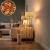 19.webp