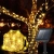 14.webp