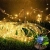 15.webp