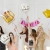 16.webp