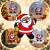 14.webp