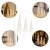 13.webp