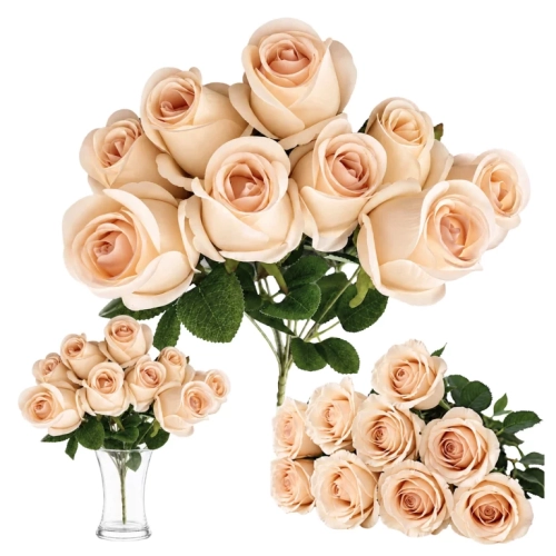 11.webp