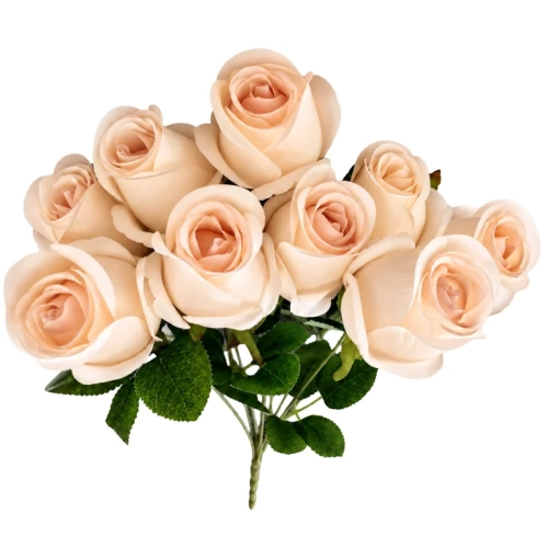 12.webp