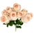 12.webp