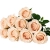 13.webp