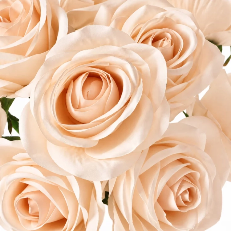14.webp