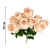 15.webp