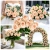 16.webp
