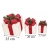 113.webp