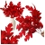 11.webp
