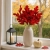 16.webp