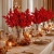 17.webp