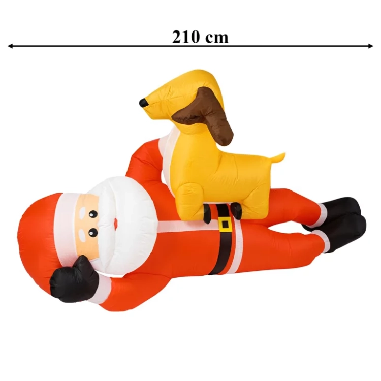 12.webp