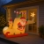 14.webp