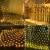 16.webp