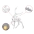 c.webp
