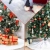 15.webp