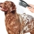 8.webp