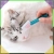 17.webp