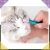 18.webp
