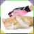 8.webp