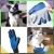 8.webp