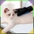 9.webp