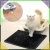 19.webp