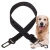 11.webp