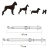 15.webp