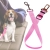 16.webp