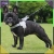 9.webp