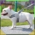 10.webp