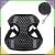 12.webp
