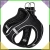 13.webp