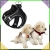 19.webp