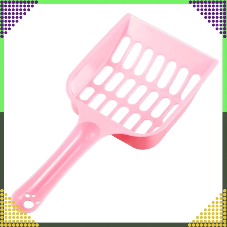 3.webp