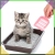 6.webp