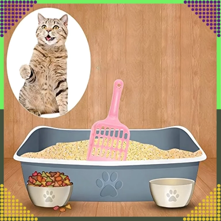 7.webp