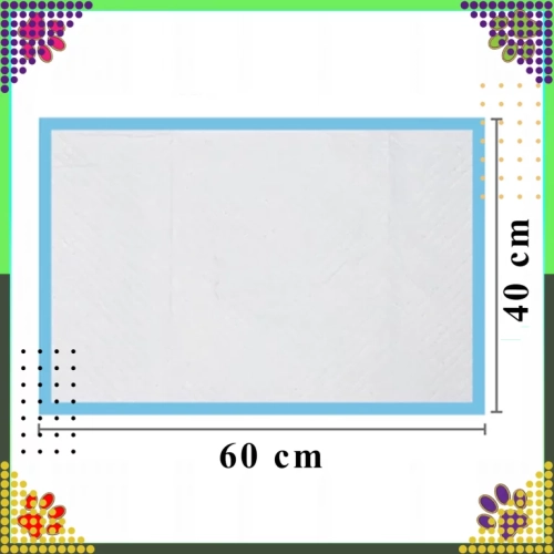 55.webp