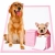 113.webp