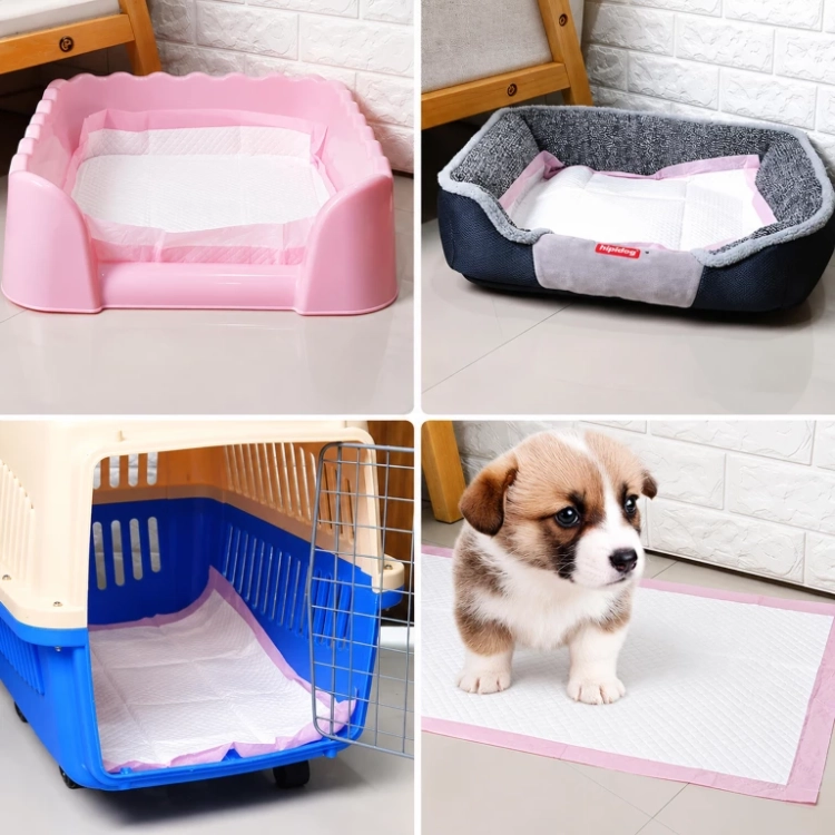 115.webp