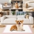 118.webp