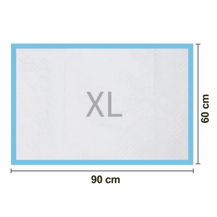 6.webp